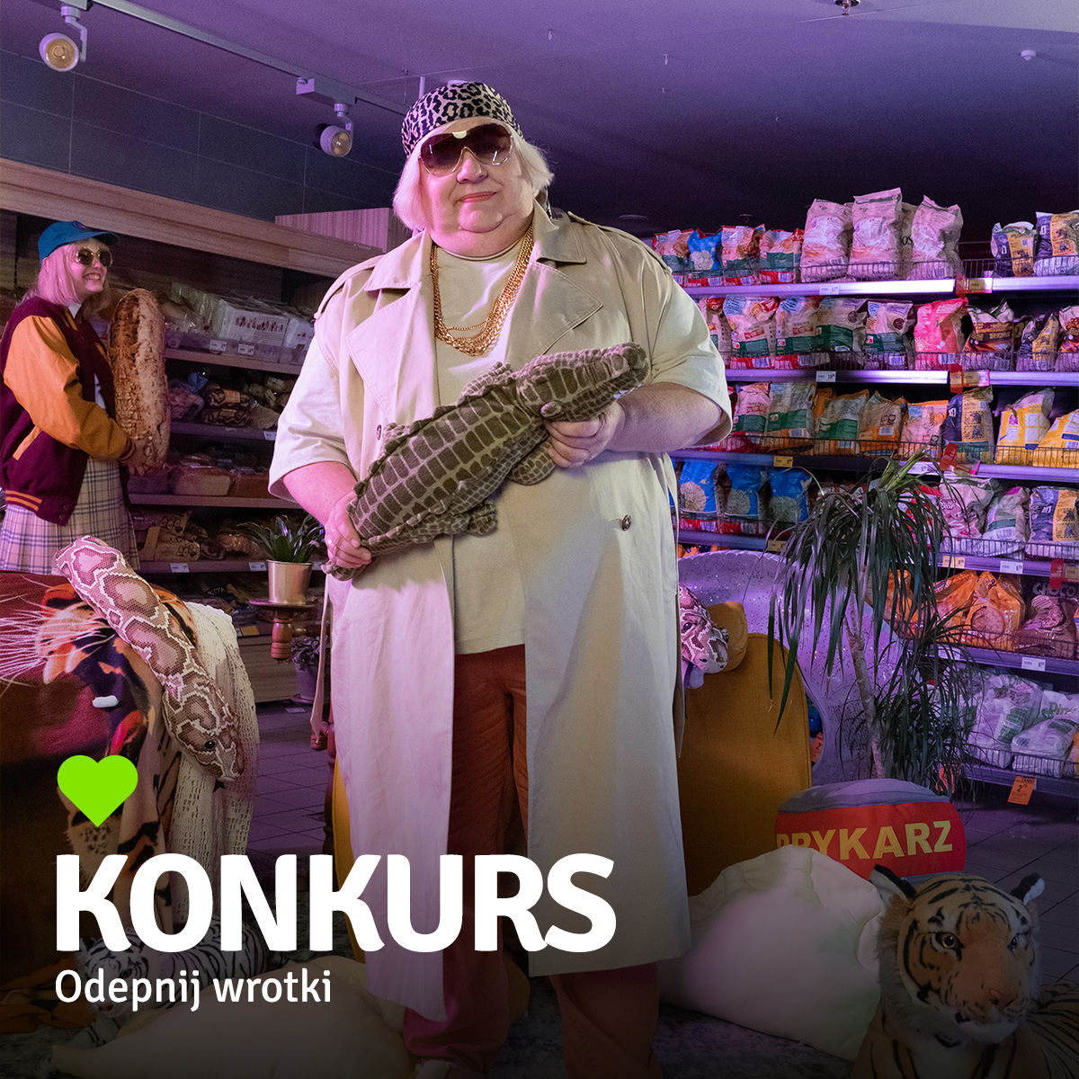 stokrotka-konkurs-t33-01.jpg