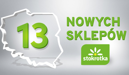 stokrotka-linkedin-13sklepow-popr-1.jpg