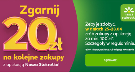 20zl-newsletter-standard.jpg