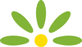 section divider